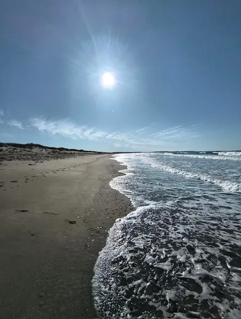 The surf line and footprints stretching down the long sand of Martinique Beach under a bright sun.