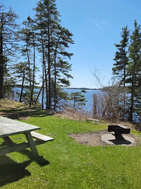 A lakeside picnic table and fire grate under tall pines at Porters Lake Provincial Park.