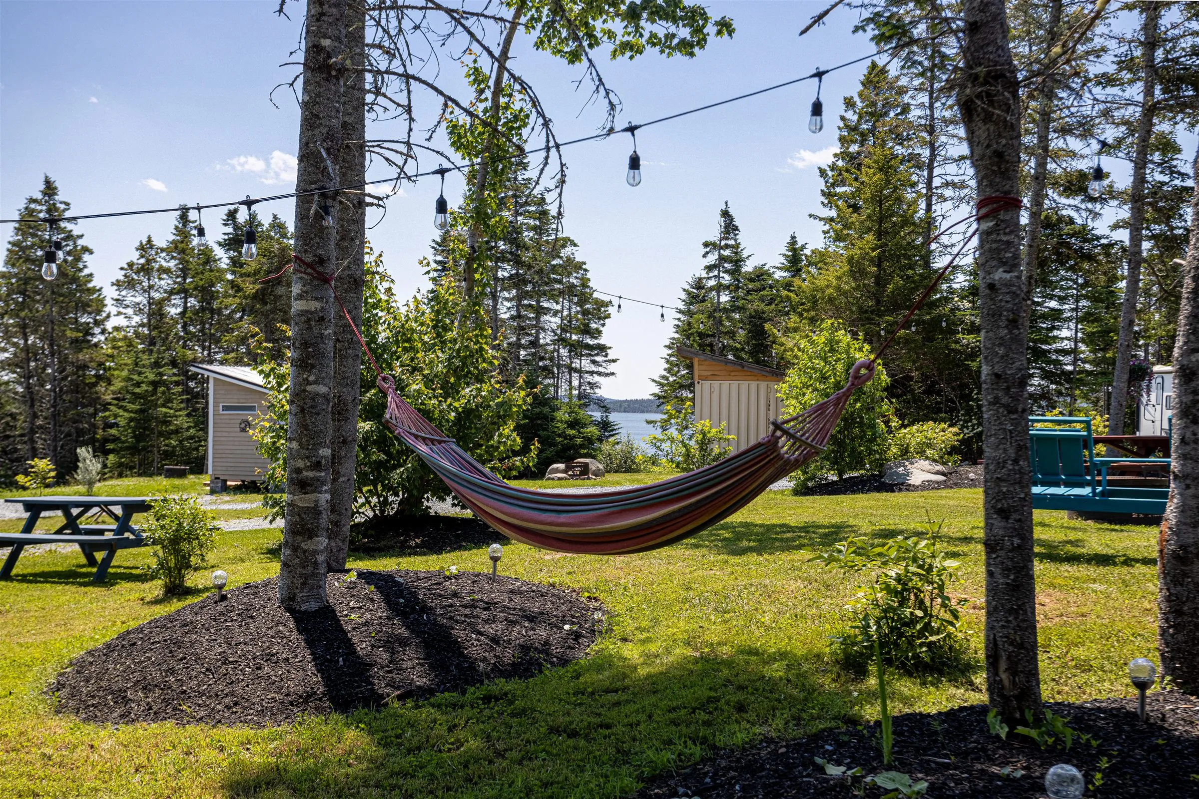 A hammock and string lights on the clubhouse lawn with Chezzetcook Inlet visible through the trees.