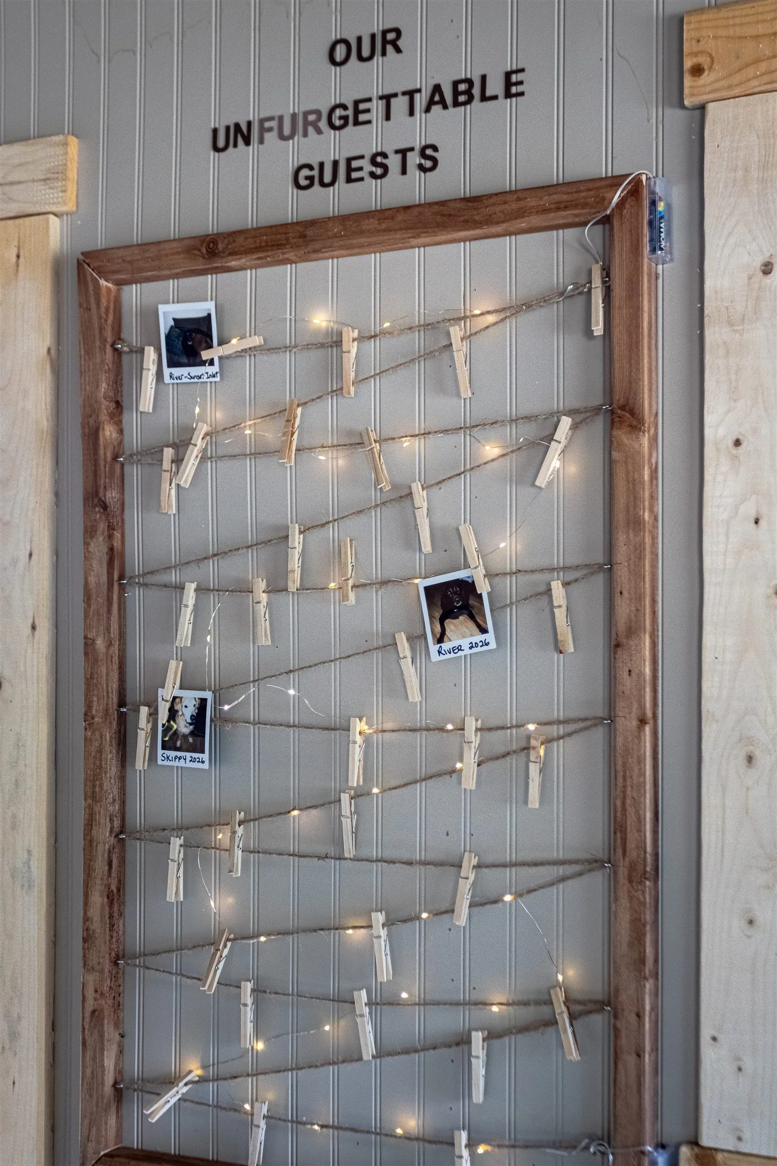"Our unFURgettable guests" pet photo wall with fairy lights and pinned polaroids.