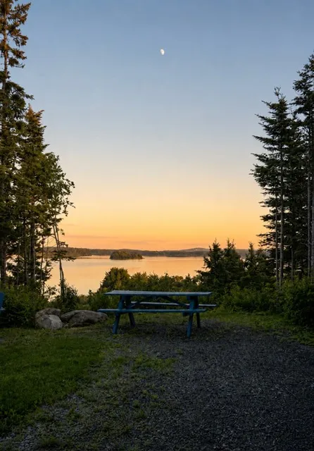 A blue picnic table framed by spruce trees at dusk, with the moon rising over Chezzetcook Inlet.