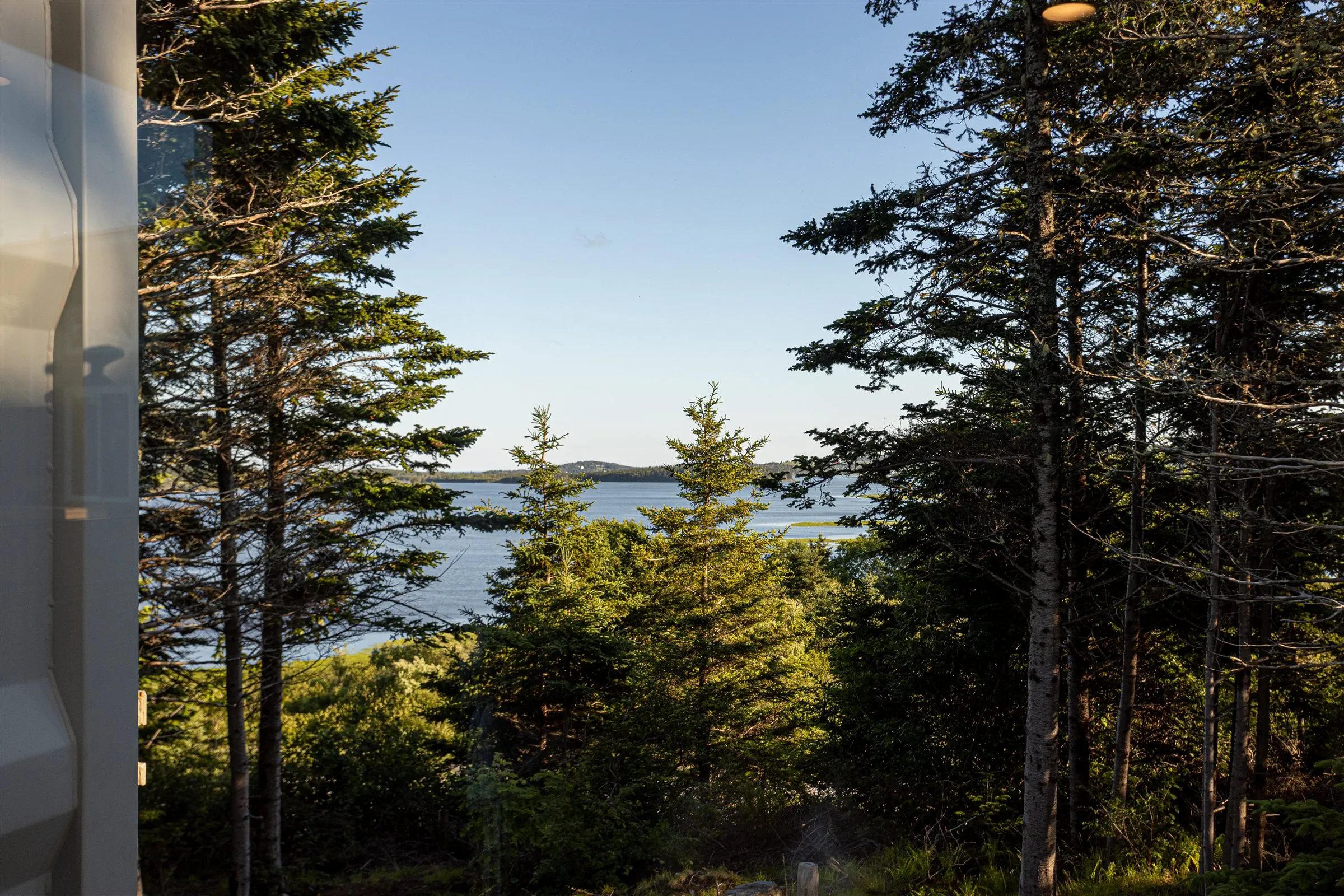 View from the Surf Shack over spruce trees to the calm waters of Chezzetcook Inlet.