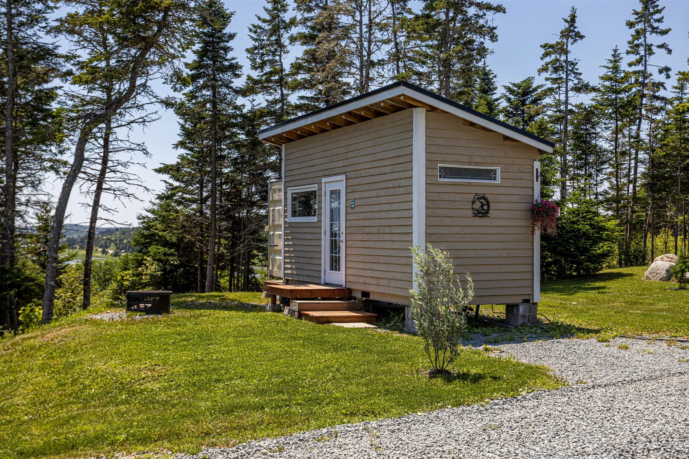 The Surf Shack, a wood-clad container bunkie with a glass entry door and wooden steps among spruce trees.